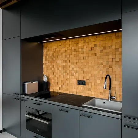 Landscape House Zakopane By Rent Like Hébergement de vacances Kościelisko