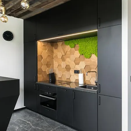 Landscape House Zakopane By Rent Like Hébergement de vacances Kościelisko